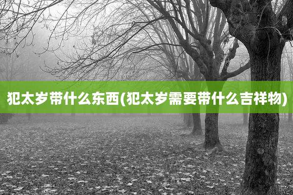 犯太岁带什么东西(犯太岁需要带什么吉祥物)