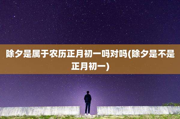 除夕是属于农历正月初一吗对吗(除夕是不是正月初一)