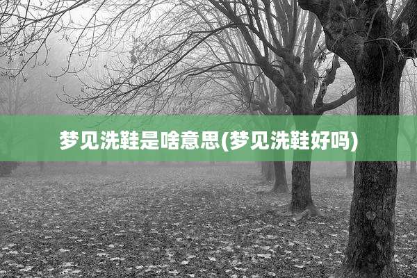 梦见洗鞋是啥意思(梦见洗鞋好吗)
