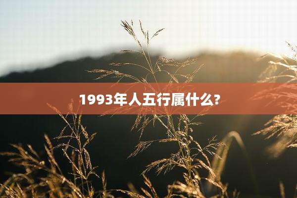1993年人五行属什么?