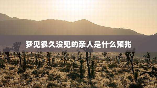 梦见很久没见的亲人是什么预兆