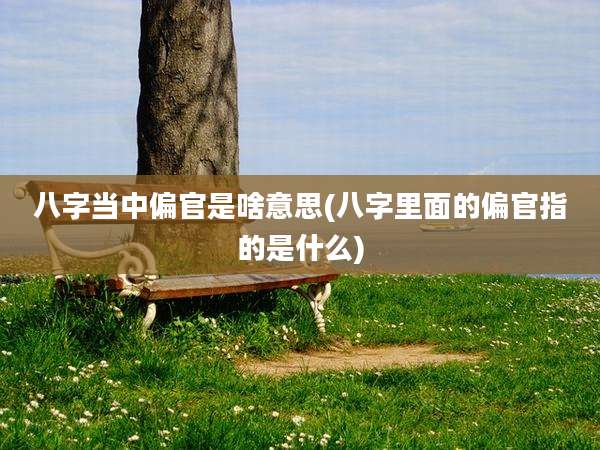 八字当中偏官是啥意思(八字里面的偏官指的是什么)