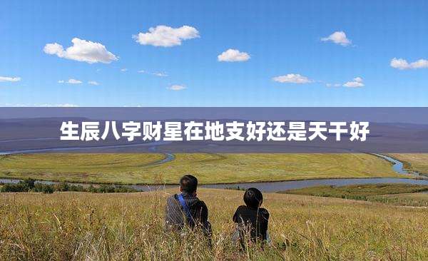 生辰八字财星在地支好还是天干好