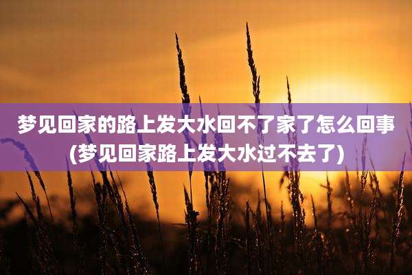梦见回家的路上发大水回不了家了怎么回事(梦见回家路上发大水过不去了)