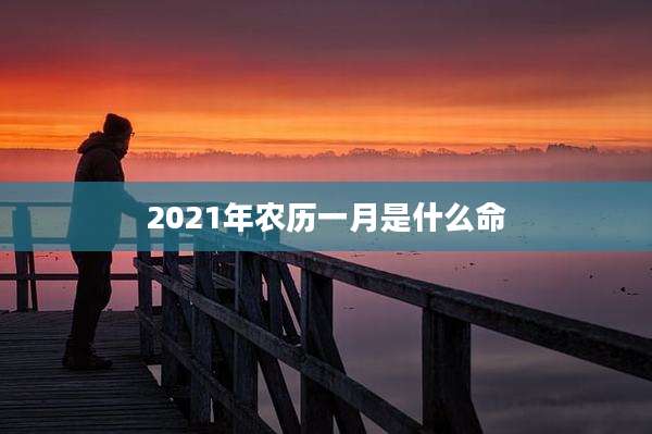 2021年农历一月是什么命