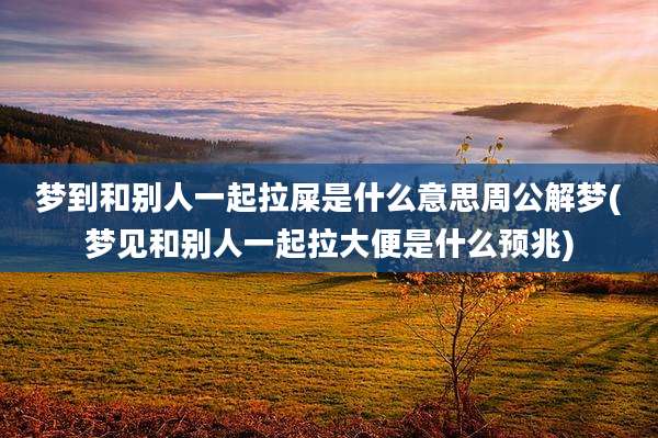 梦到和别人一起拉屎是什么意思周公解梦(梦见和别人一起拉大便是什么预兆)