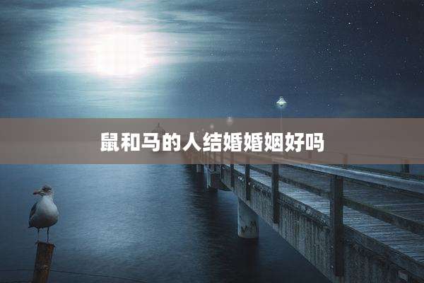鼠和马的人结婚婚姻好吗