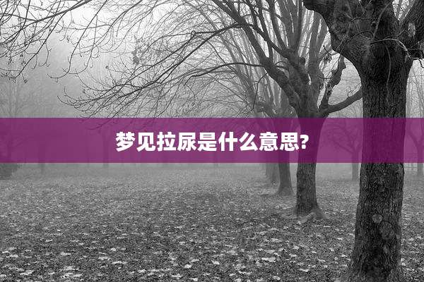 梦见拉尿是什么意思?