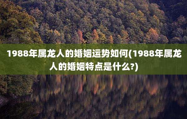 1988年属龙人的婚姻运势如何(1988年属龙人的婚姻特点是什么?)