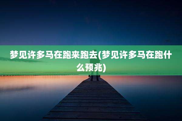 梦见许多马在跑来跑去(梦见许多马在跑什么预兆)