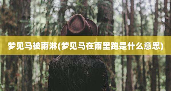 梦见马被雨淋(梦见马在雨里跑是什么意思)
