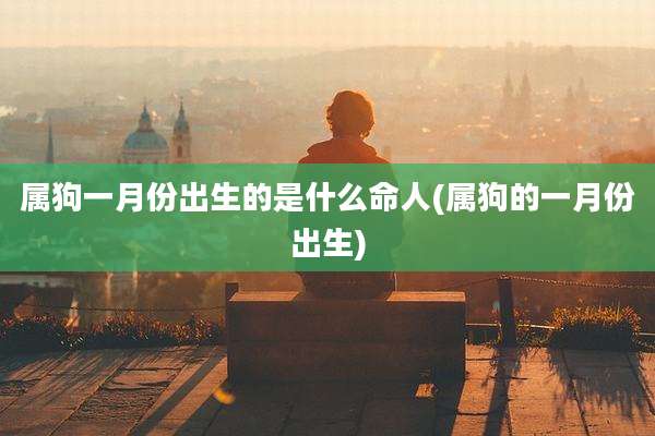 属狗一月份出生的是什么命人(属狗的一月份出生)