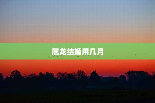 属龙结婚用几月