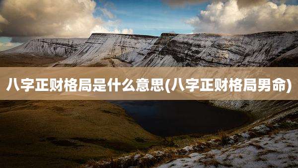 八字正财格局是什么意思(八字正财格局男命)