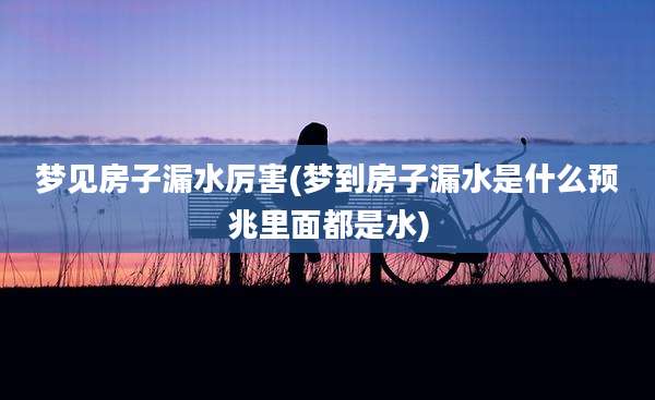 梦见房子漏水厉害(梦到房子漏水是什么预兆里面都是水)