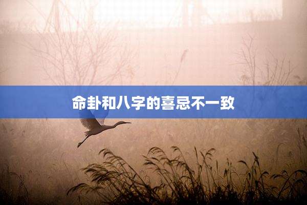 命卦和八字的喜忌不一致