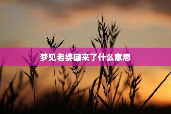 梦见老婆回来了什么意思