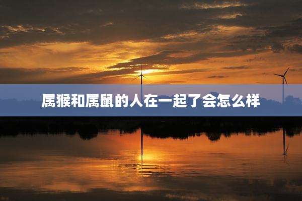 属猴和属鼠的人在一起了会怎么样