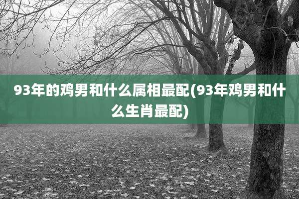 93年的鸡男和什么属相最配(93年鸡男和什么生肖最配)