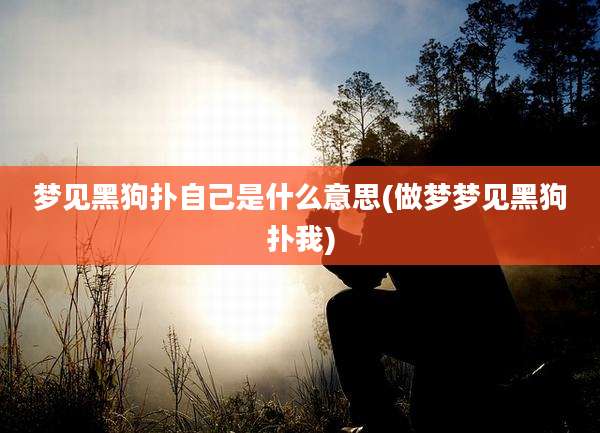 梦见黑狗扑自己是什么意思(做梦梦见黑狗扑我)