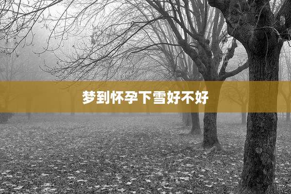 梦到怀孕下雪好不好
