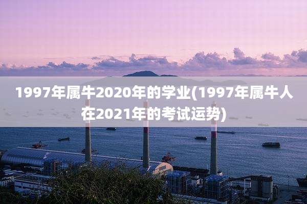 1997年属牛2020年的学业(1997年属牛人在2021年的考试运势)