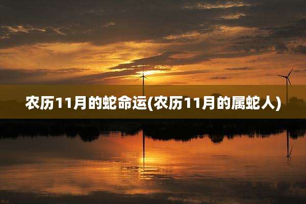 农历11月的蛇命运(农历11月的属蛇人)