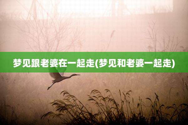梦见跟老婆在一起走(梦见和老婆一起走)