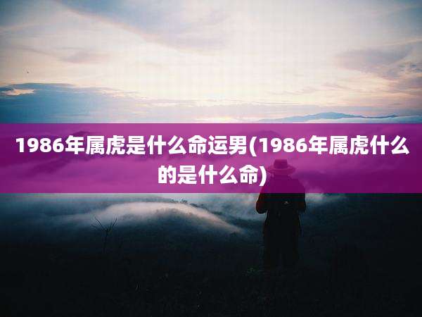 1986年属虎是什么命运男(1986年属虎什么的是什么命)