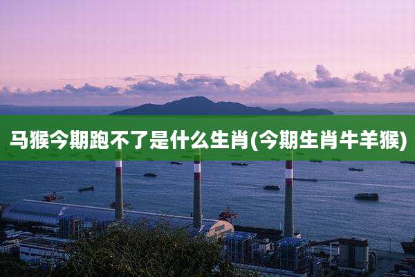 马猴今期跑不了是什么生肖(今期生肖牛羊猴)