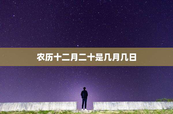 农历十二月二十是几月几日