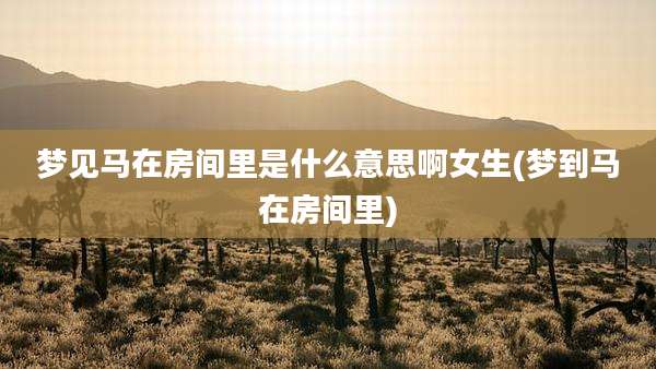 梦见马在房间里是什么意思啊女生(梦到马在房间里)