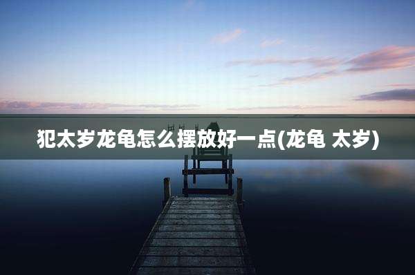 犯太岁龙龟怎么摆放好一点(龙龟 太岁)