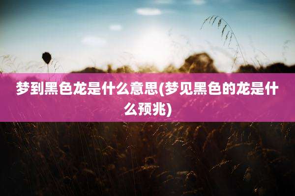梦到黑色龙是什么意思(梦见黑色的龙是什么预兆)
