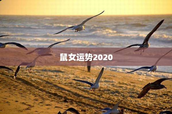 鼠女运势2020