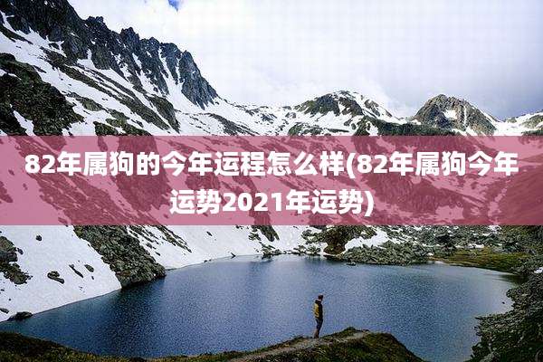 82年属狗的今年运程怎么样(82年属狗今年运势2021年运势)