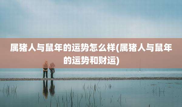 属猪人与鼠年的运势怎么样(属猪人与鼠年的运势和财运)