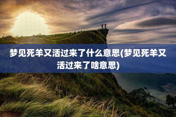 梦见死羊又活过来了什么意思(梦见死羊又活过来了啥意思)