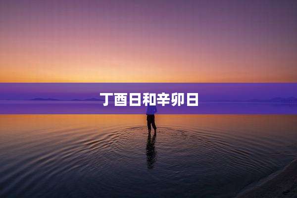 丁酉日和辛卯日