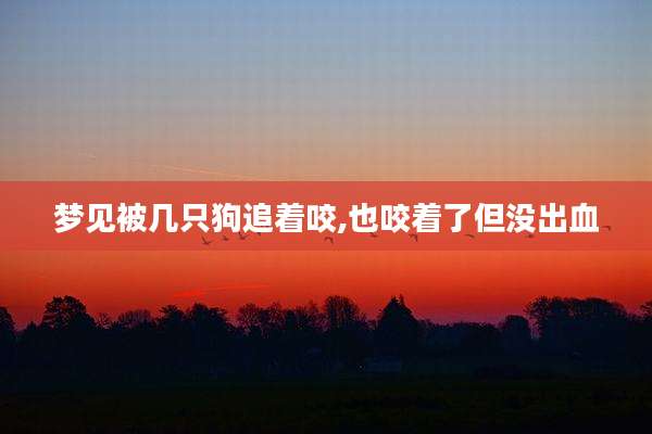 梦见被几只狗追着咬,也咬着了但没出血