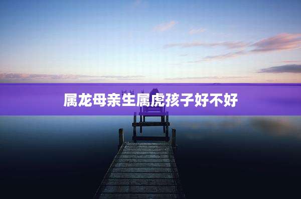 属龙母亲生属虎孩子好不好