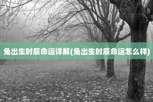 兔出生时辰命运详解(兔出生时辰命运怎么样)