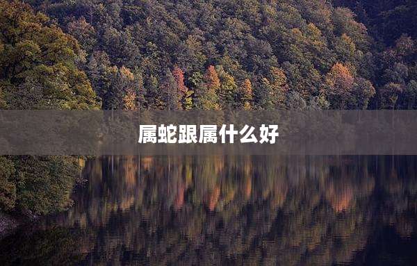 属蛇跟属什么好