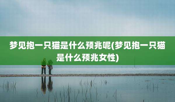 梦见抱一只猫是什么预兆呢(梦见抱一只猫是什么预兆女性)