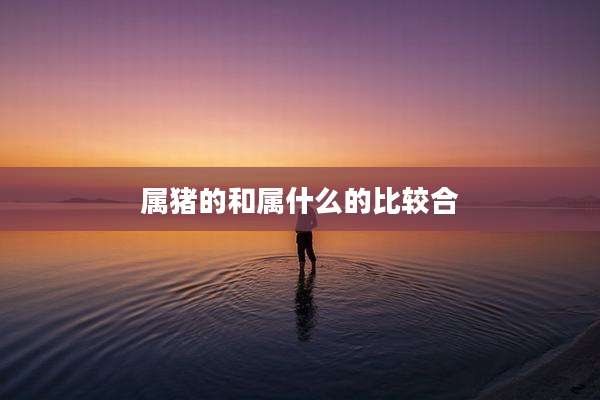属猪的和属什么的比较合