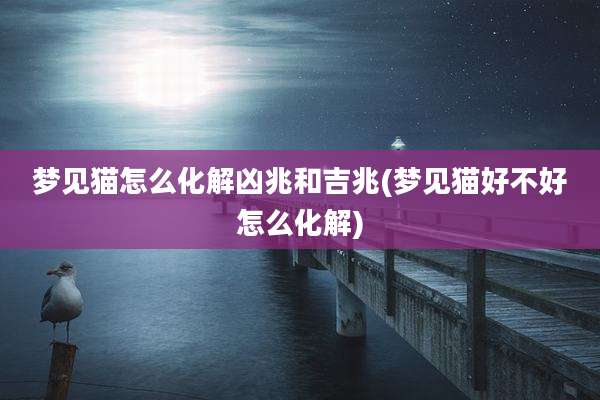 梦见猫怎么化解凶兆和吉兆(梦见猫好不好怎么化解)