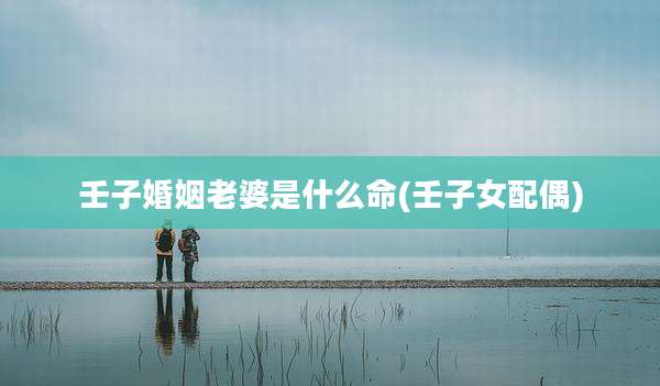 壬子婚姻老婆是什么命(壬子女配偶)