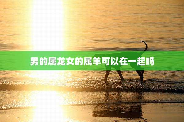 男的属龙女的属羊可以在一起吗