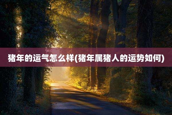 猪年的运气怎么样(猪年属猪人的运势如何)
