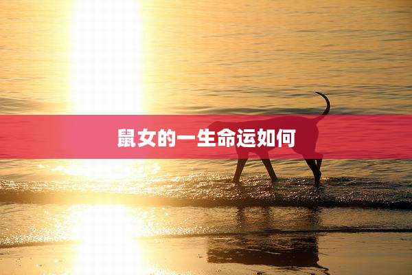 鼠女的一生命运如何
